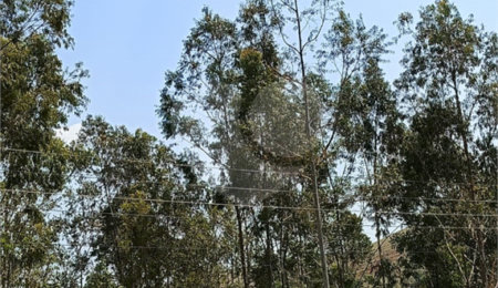 Terreno à venda em Cachoeira, Atibaia, SP