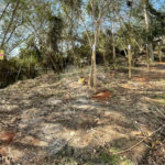 Terreno à venda em Albatroz, Armação dos Búzios, RJ