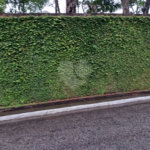 Terreno à venda em Jardim França, São Paulo, SP