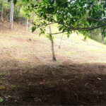 Sítio à venda no Centro, Monte Sião, MG