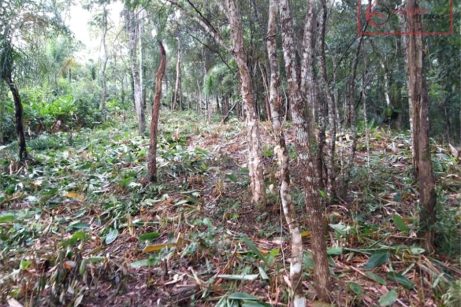 Terreno à venda em Serra da Cantareira, Mairiporã, SP
