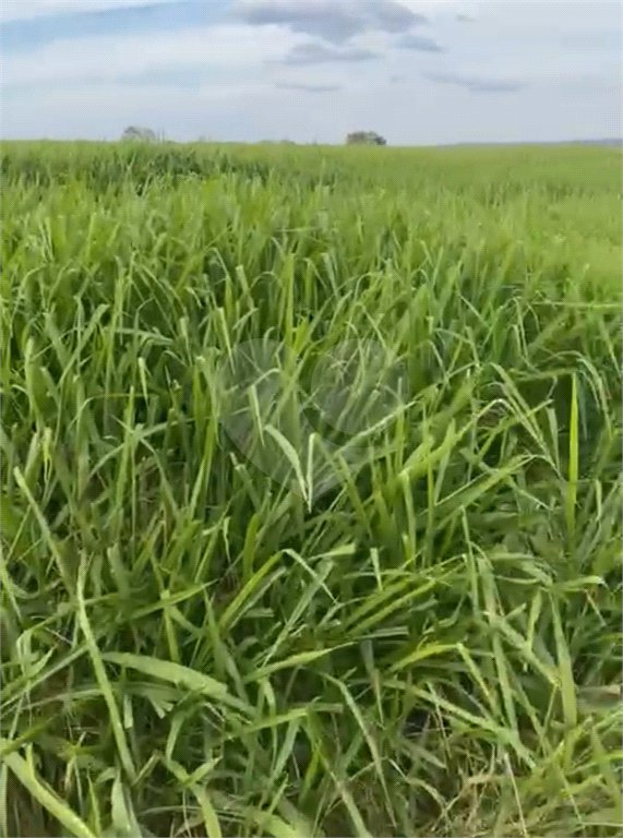 Fazenda à venda com 2 quartos em Canabrava, João Pinheiro, MG
