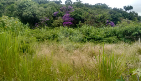 Loteamento à venda em Jardim Paulista, Atibaia, SP