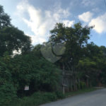 Terreno à venda em Serra da Cantareira, Mairiporã, SP