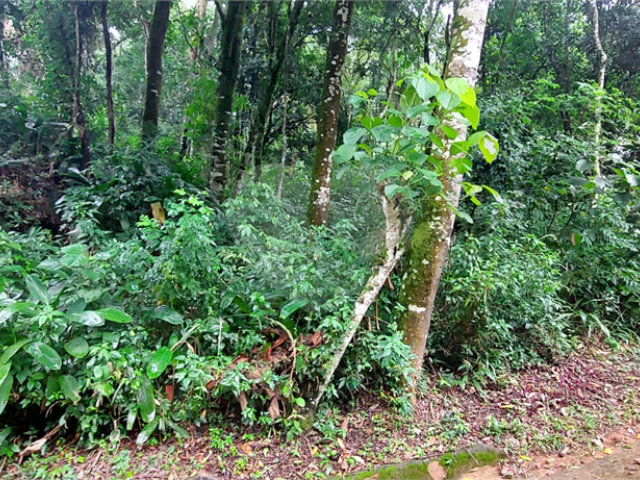 Condomínio à venda em Serra da Cantareira, Mairiporã, SP