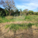 Terreno à venda em Chácara Santo Antônio, Araçoiaba da Serra, SP