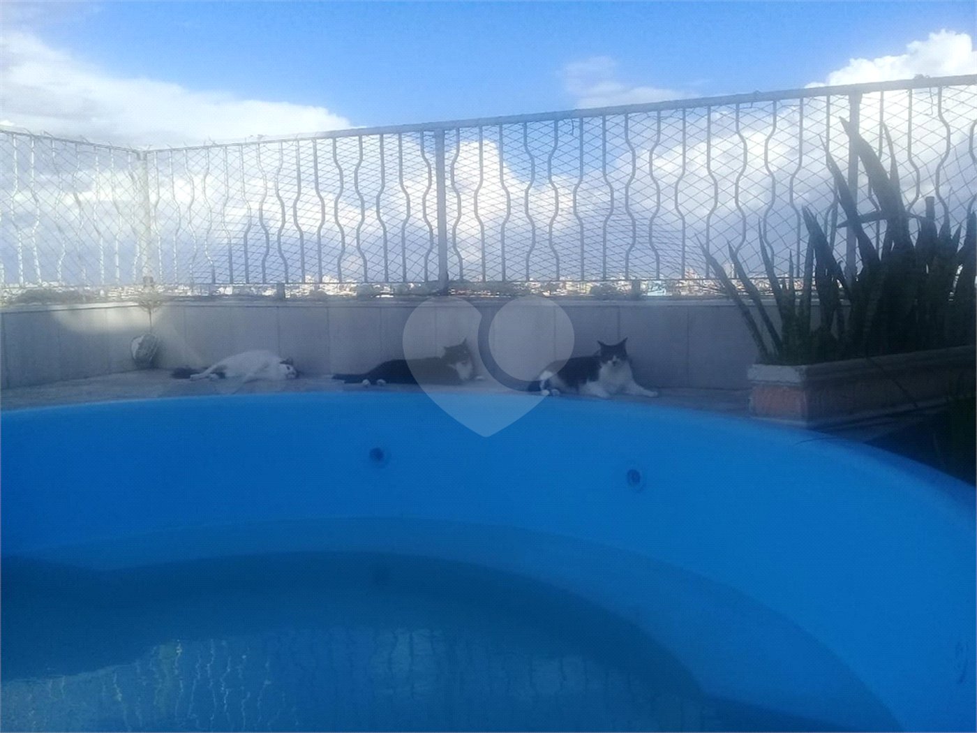 Apartamento à venda com 3 quartos, sendo 2 suítes, em Mandaqui, São Paulo, SP