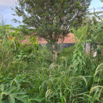Casa à venda com 2 quartos, sendo 1 suíte, em Ressaca, Atibaia, SP