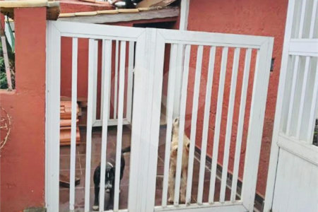 Sobrado à venda com 3 quartos, sendo 1 suíte, em Jardim Casa Branca, Suzano, SP