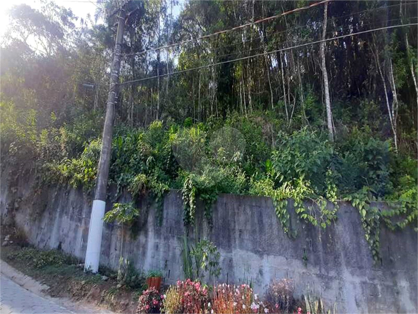Terreno à venda em Serra da Cantareira, Mairiporã, SP