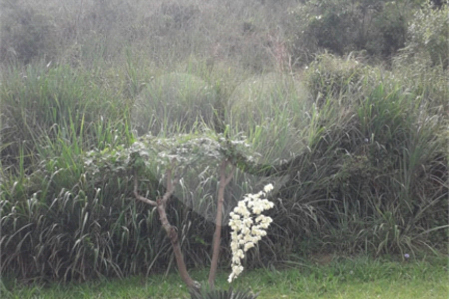 Terreno à venda no condomínio Alpes de Mairiporã, Mairiporã - SP