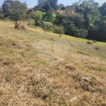 Terreno à venda no condomínio Acmti - Colinas do Mosteiro, Terras de Itaici e Recanto dos Pássaros, Indaiatuba - SP