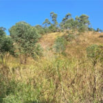 Terreno à venda em Caete (mailasqui), São Roque, SP