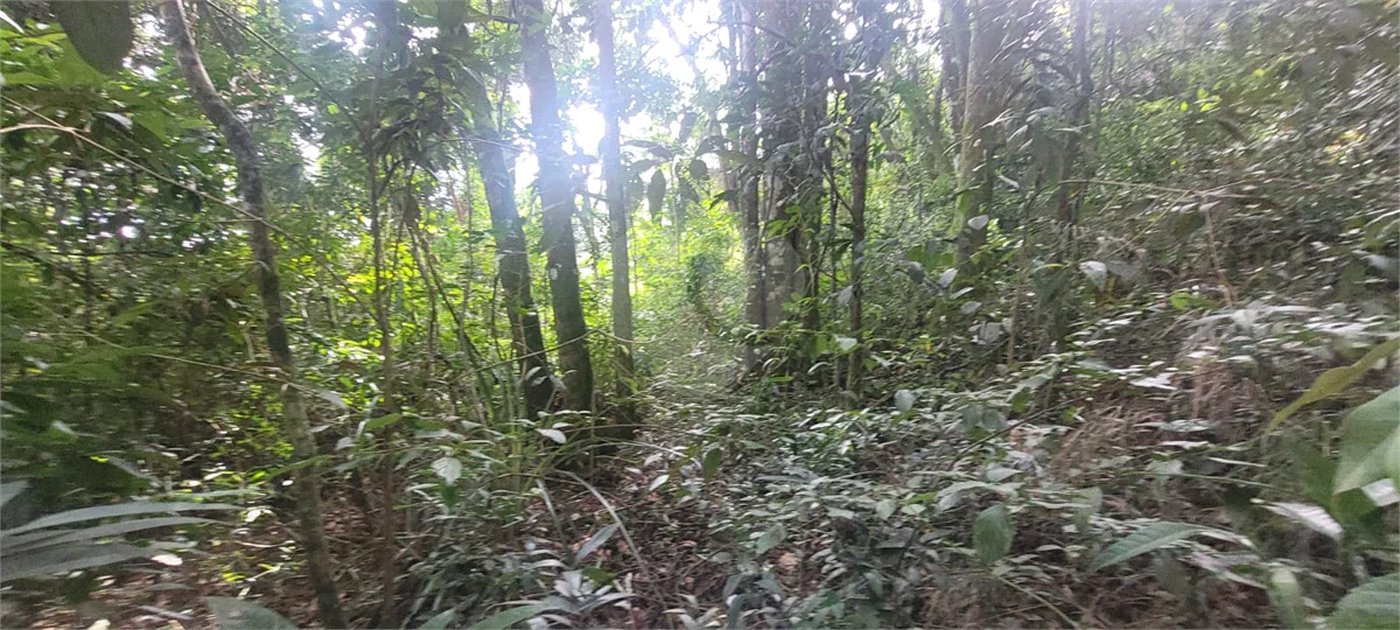 Terreno à venda em Mantiqueira, Mairiporã, SP