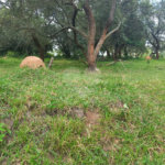 Terreno à venda em Chácaras do Guacuri, Itupeva, SP