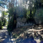 Terreno à venda em Serra da Cantareira, Mairiporã, SP