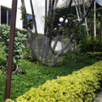 Apartamento à venda com 2 quartos em São Judas, São Paulo, SP