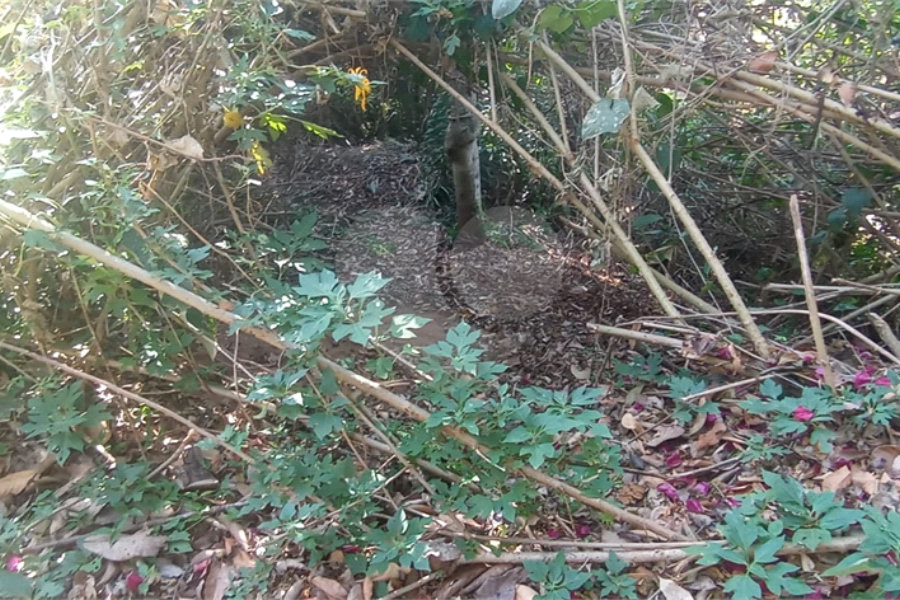 Terreno à venda no condomínio Alpes da Cantareira, Mairiporã - SP