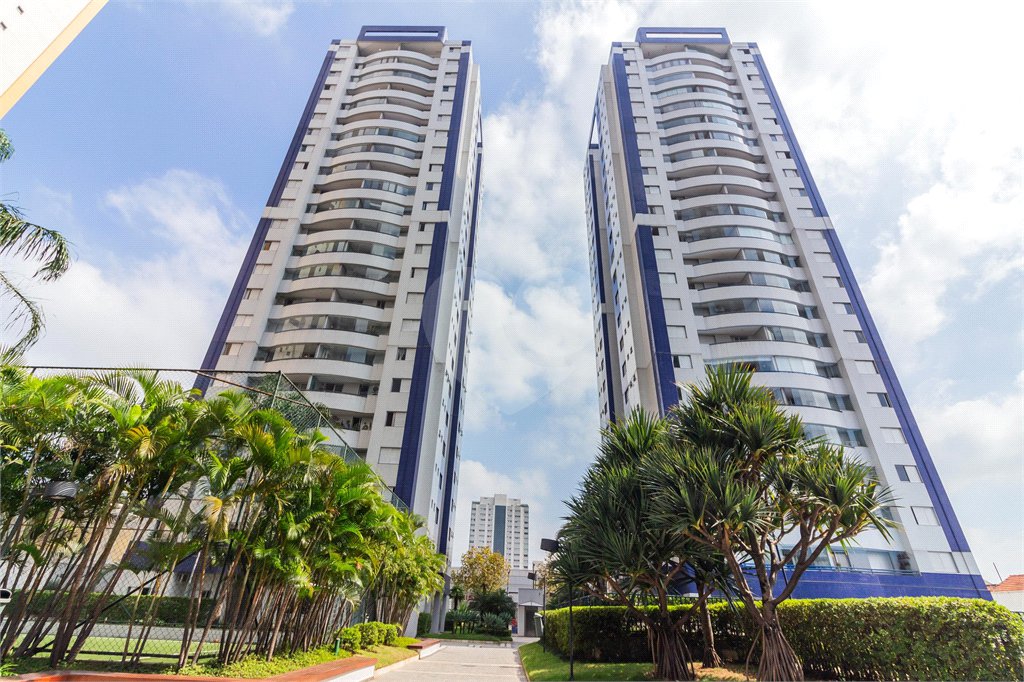 Apartamento à venda com 3 quartos, sendo 1 suíte, em Cambuci, São Paulo, SP
