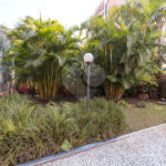 Apartamento à venda com 3 quartos, sendo 1 suíte,  em Vila Mascote, São Paulo, SP