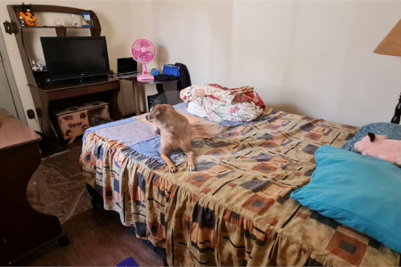 Casa térrea para venda em Araraquara.