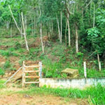 Excelente terreno à venda com 2950 m²