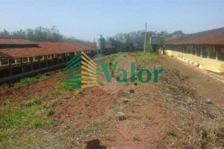 Sítio Estrada São Carlos Ribeirão - próximo São Carlos