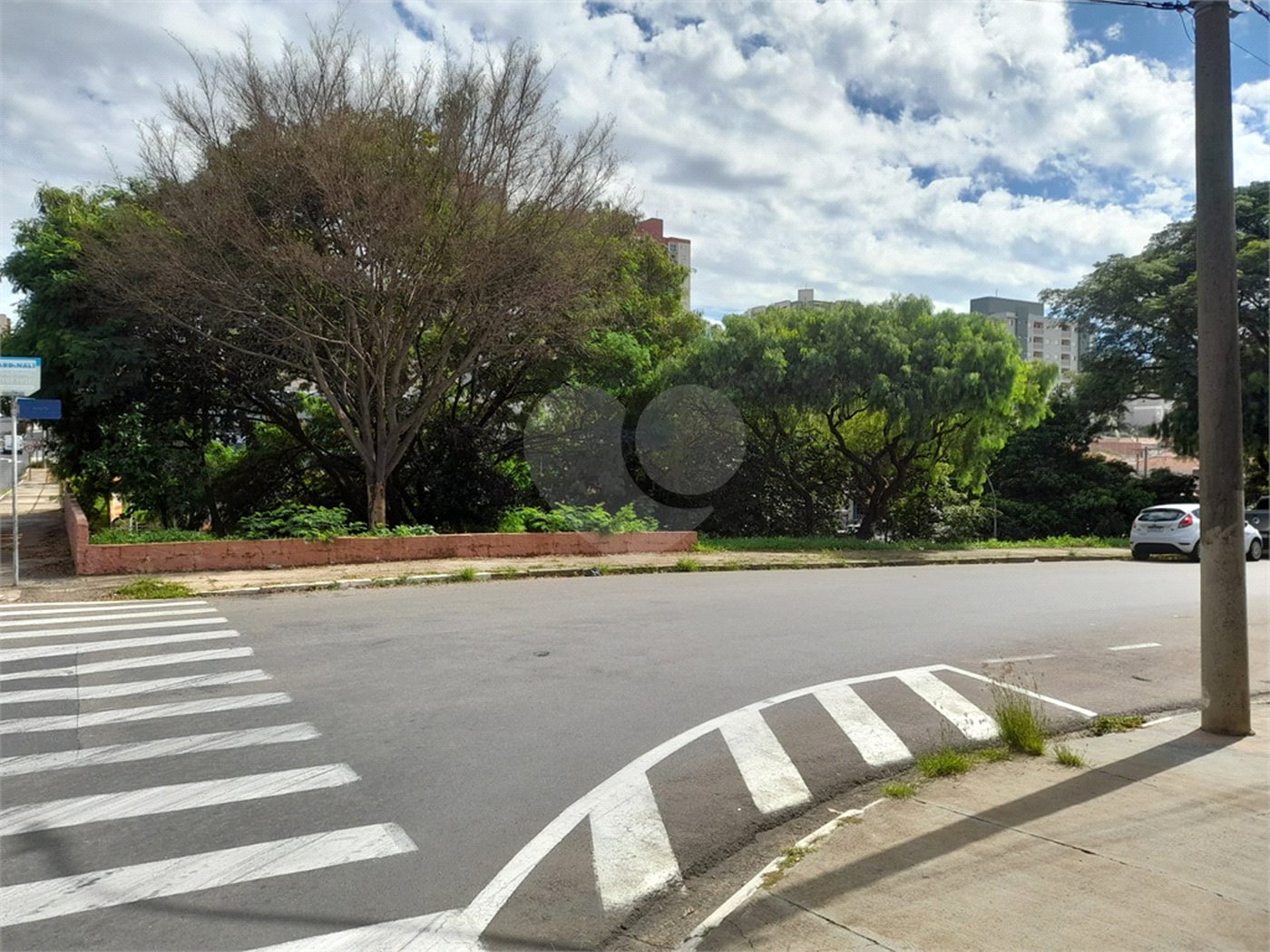 Galpão Comercial à Venda – Localização Estratégica na Avenida São Carlos