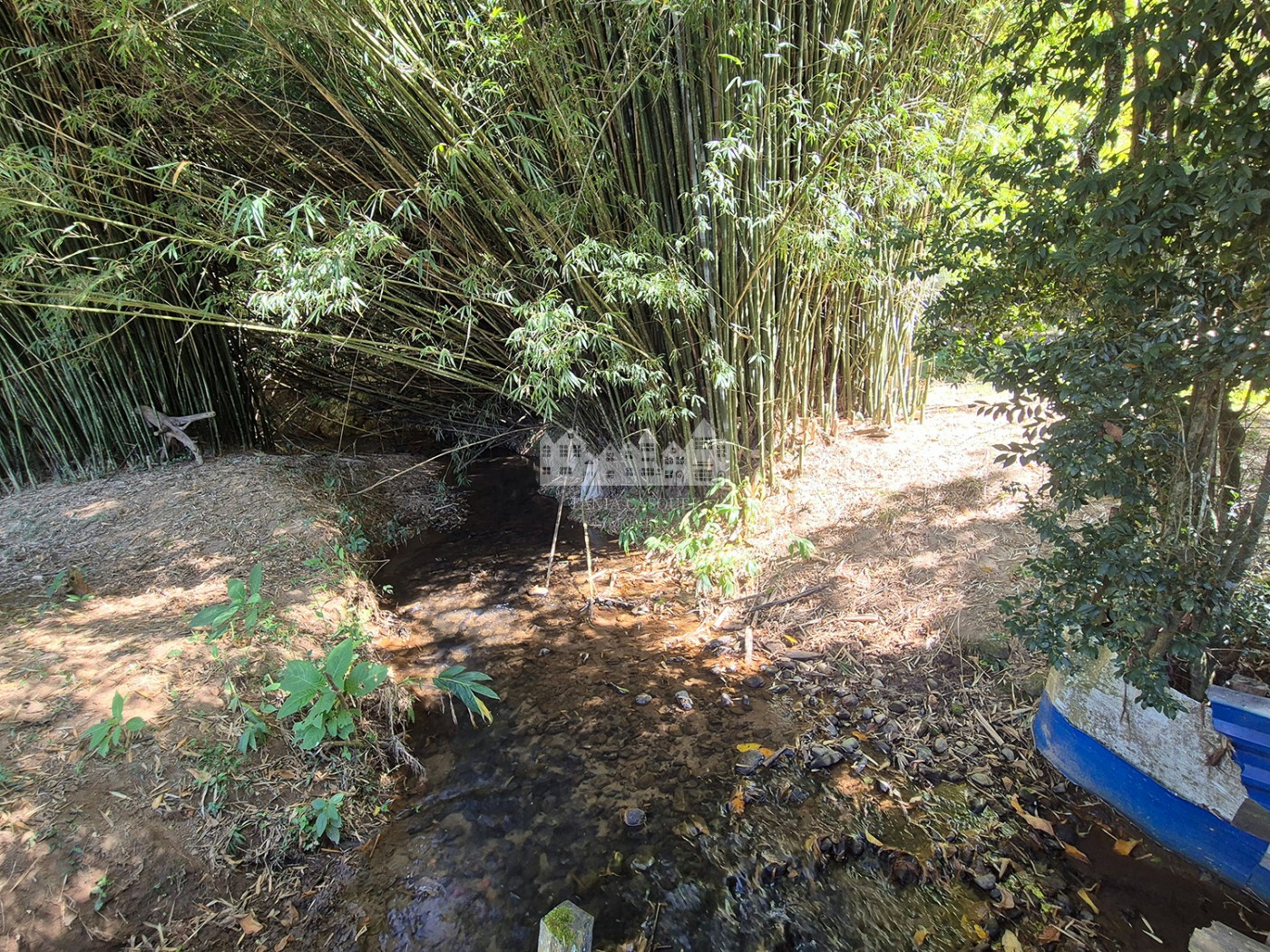 Sítio à venda com 7 alqueires, em Serra do Capetinga, Itapeva - MG