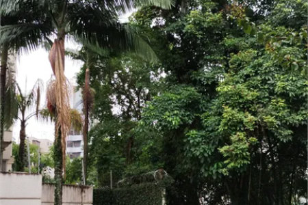 Terreno à venda em Vila Suzana, São Paulo, SP