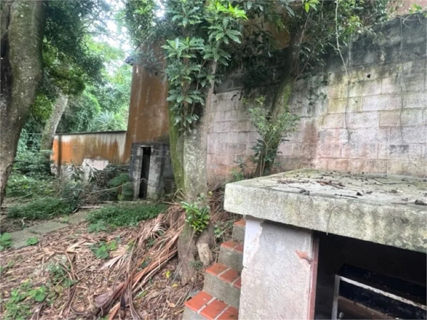 Vendo Terreno de 290m2 rua do Horto para sua casa ou investimento