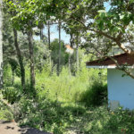 Casa Térrea à venda com 4 suítes em Alto da Boa Vista, São Paulo, SP