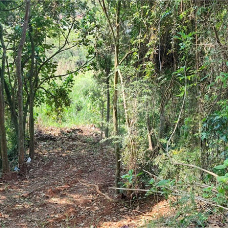 TERRENO DE 500 M² EM ATIBAIA PRONTO PARA CONSTRUIR, AVALIA PERMUTA COM CARRO