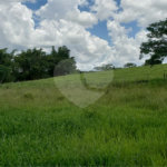 Sitio para venda.