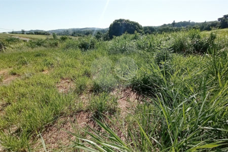 Terreno à venda em Pinheirinho, Vinhedo, SP