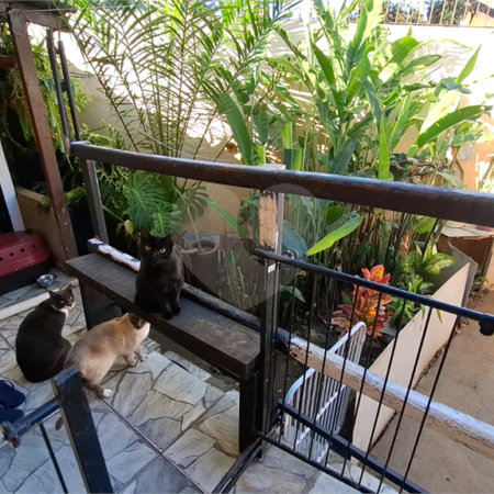 Casa Térrea à venda com 2 quartos em Tucuruvi, São Paulo, SP