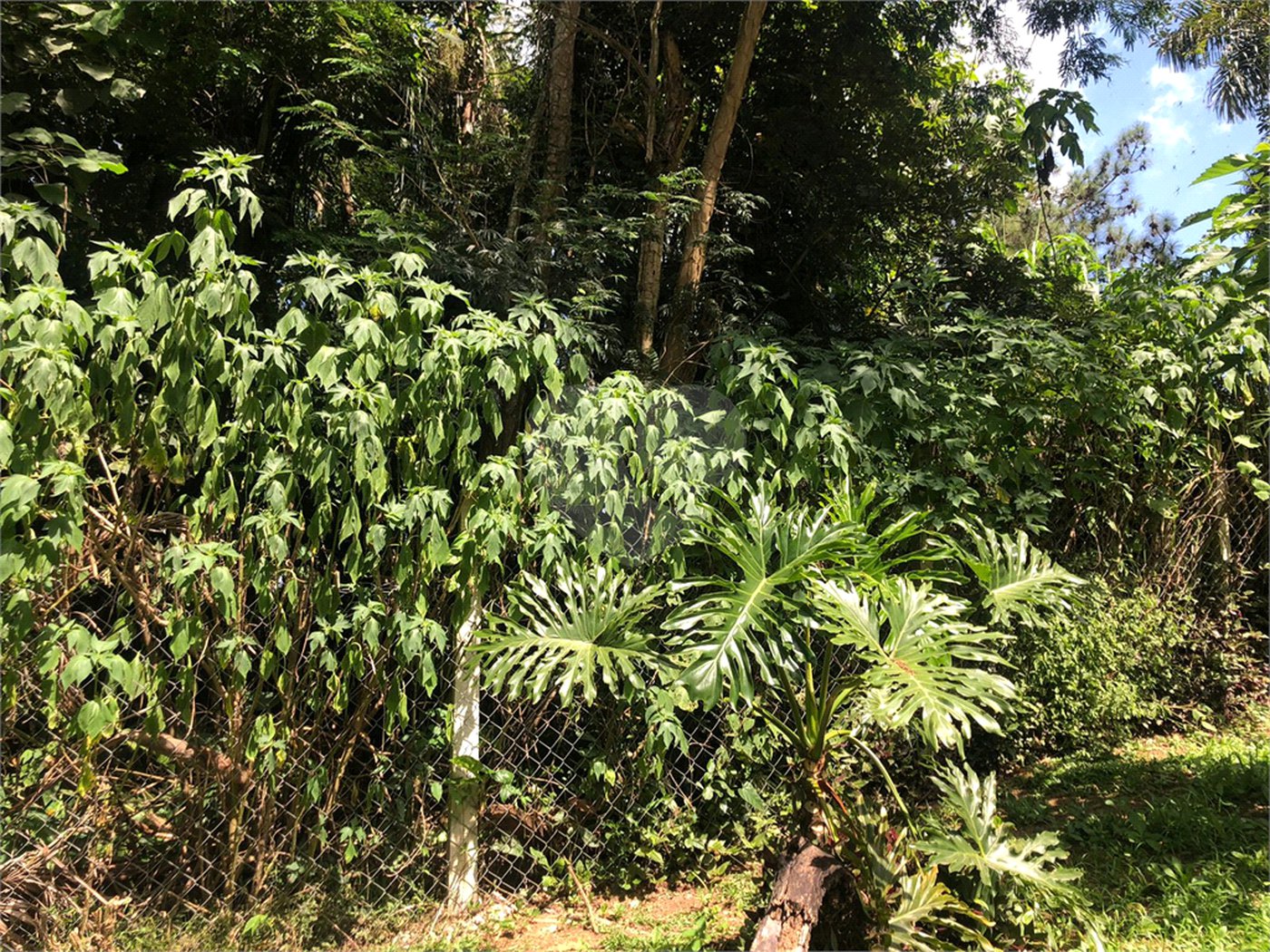 Terreno à venda em Serra da Cantareira, Mairiporã, SP