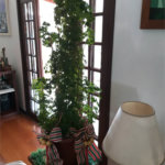 Casa à venda com 4 quartos, sendo 2 suítes, no condomínio Vila Panamericana, São Paulo - SP