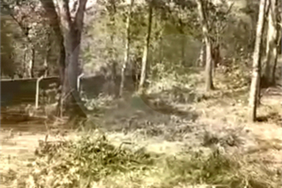 Terreno à venda em Luiz Fagundes, Mairiporã, SP