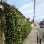 Casa à venda com 3 quartos, sendo 1 suíte,  em Vila Oliveira, Mogi das Cruzes, SP