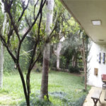 Casa Térrea à venda com 4 quartos, sendo 1 suíte, em Granja Julieta, São Paulo, SP