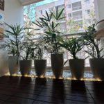 Apartamento à venda com 1 suíte em Vila Polopoli, São Paulo, SP