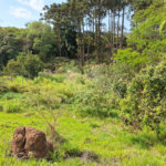 Terreno à venda em Chácara Fernão Dias, Bragança Paulista, SP