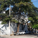 Sobrado à venda com 1 quarto em Granja Julieta, São Paulo, SP