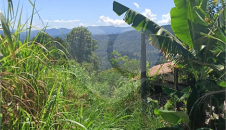 Terreno à venda em Luiz Fagundes, Mairiporã, SP