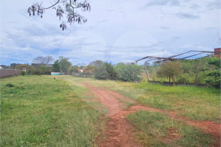 Terreno para alugar em Vila Áurea, Ponta Porã, MS