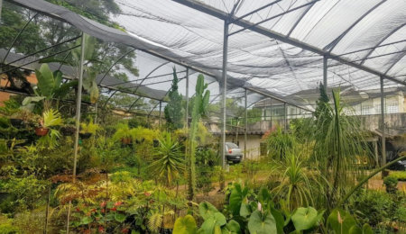 Terreno à venda em Jardim Cordeiro, São Paulo, SP