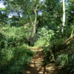 Chácara à venda com 2 quartos, sendo 1 suíte, no Centro, Araçariguama, SP