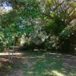 Casa à venda com 1 quarto em Vila Verde, Armação dos Búzios, RJ