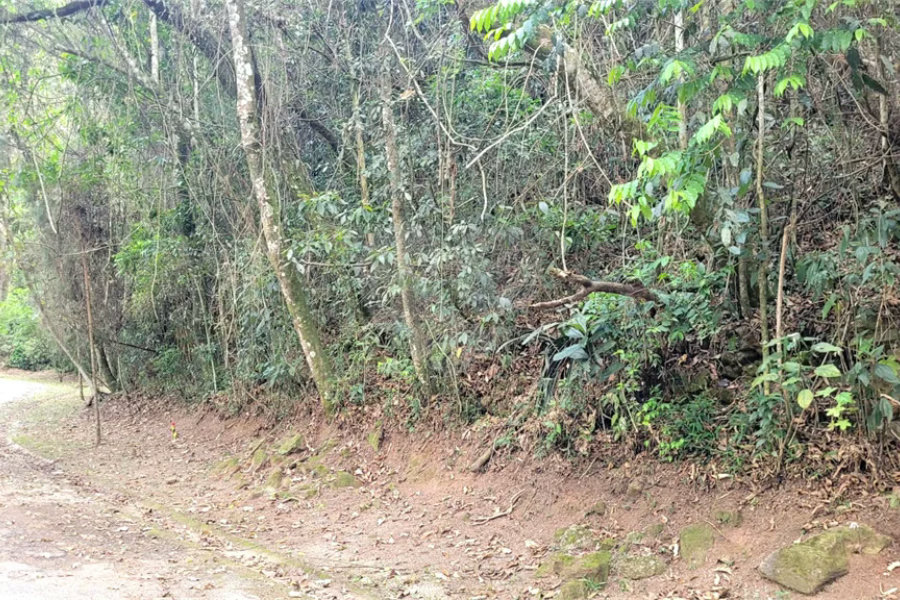 Terreno à venda no condomínio Alpes da Cantareira, Mairiporã - SP